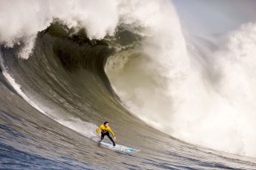 欧博官网登录-阿扎伦卡赛事新规爆冷门，公牛争议持续升温